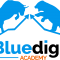 Bluedigit Logo